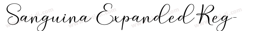 Sanguina ExpandedReg字体转换